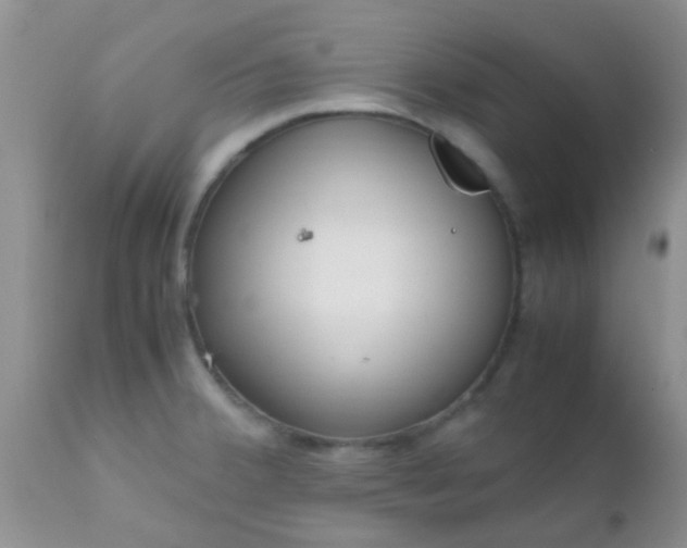 X0000110951380200907022146