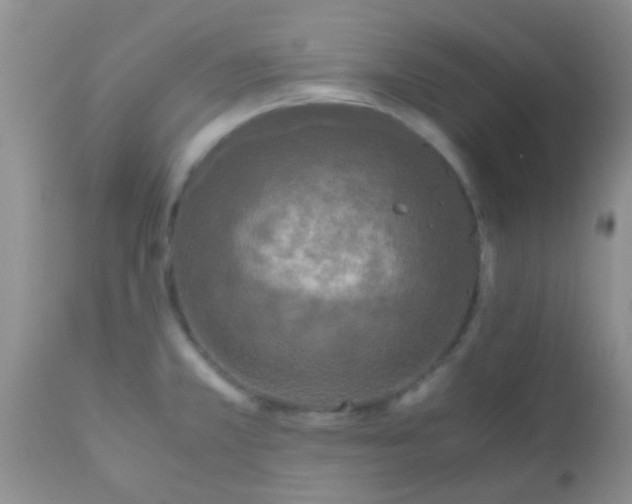 X0000110951381200907022146