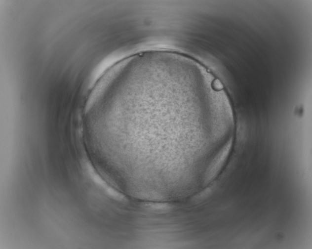 X0000110951382200907022146