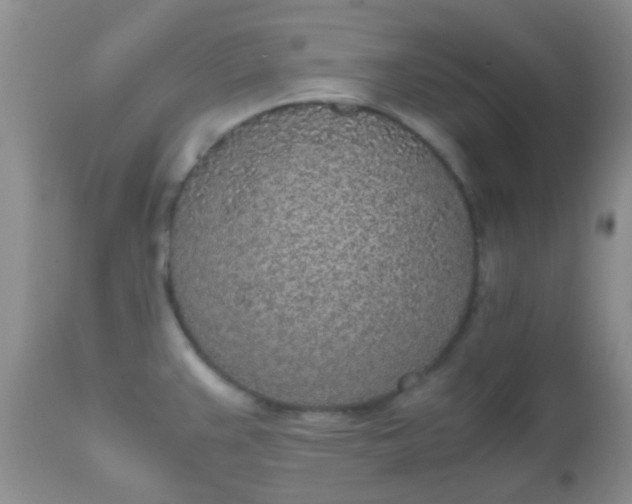 X0000110951383200907022146