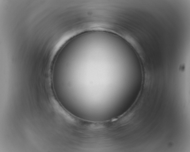 X0000110951384200907022146