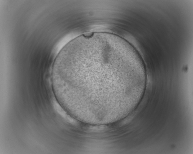 X0000110951386200907022146