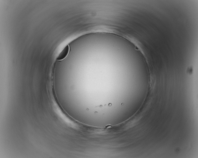 X0000110951387200907022146