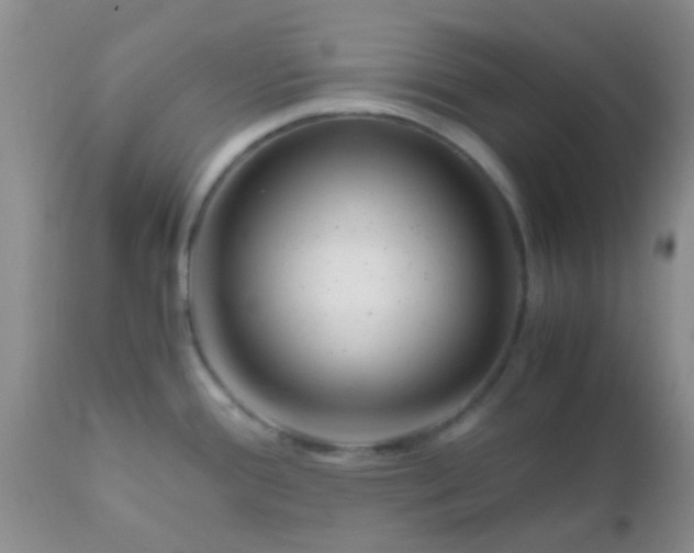 X0000110951388200907022146