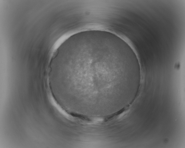 X0000110951389200907022146