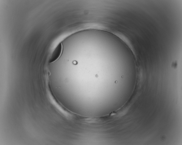 X0000110951391200907022146