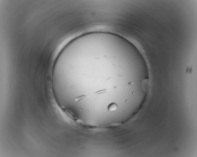 X0000110951392200907022146