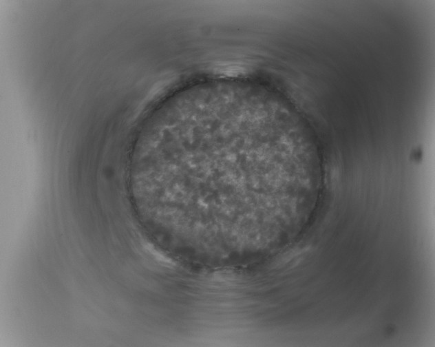 X0000110951393200907022145