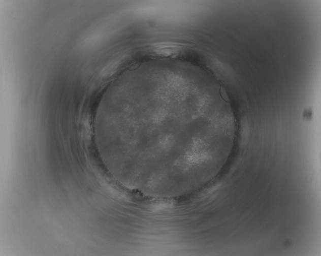 X0000110951394200907022145