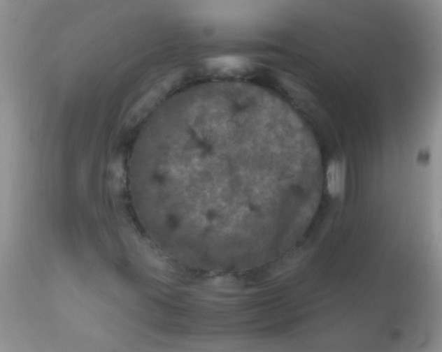 X0000110951395200907022145