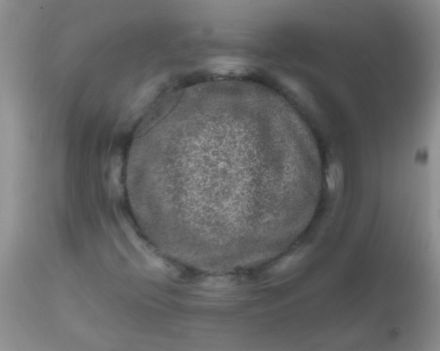 X0000110951396200907022145