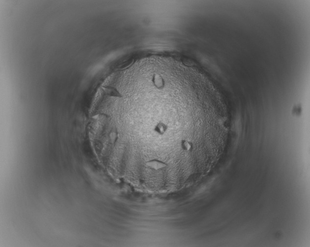 X0000110951398200907022145