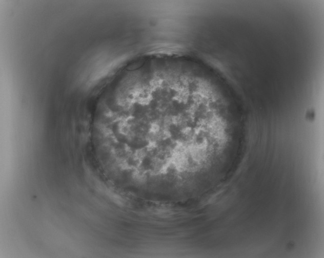 X0000110951399200907022145