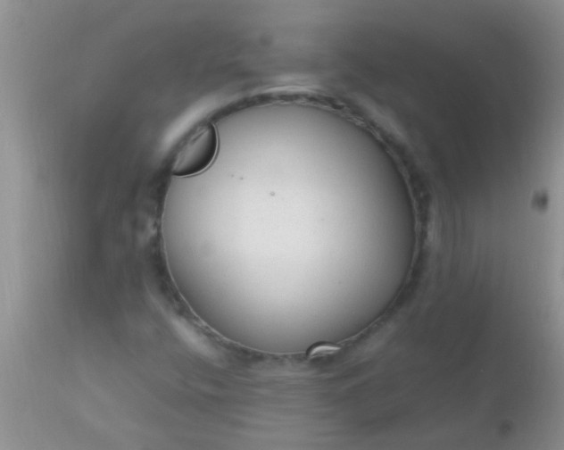 X0000110951400200907022145