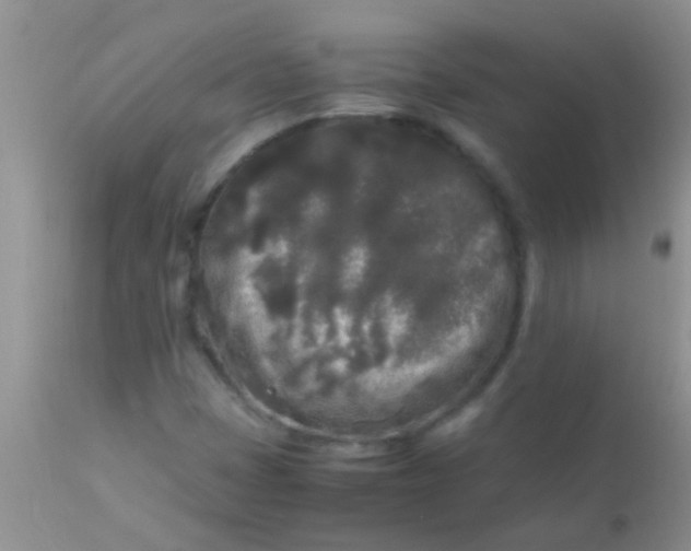 X0000110951401200907022145