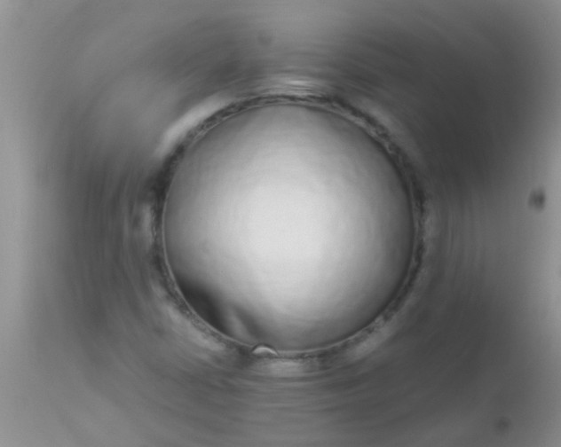 X0000110951402200907022145