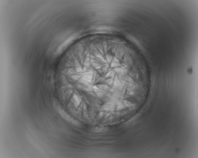 X0000110951403200907022145