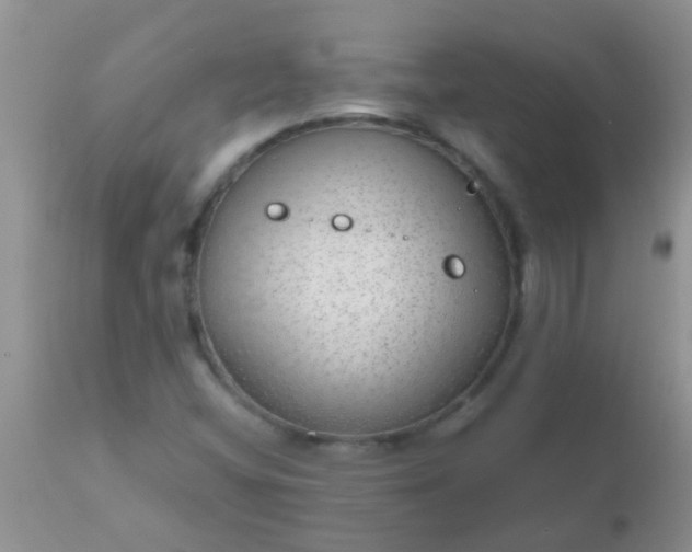 X0000110951404200907022145