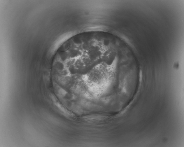 X0000110951405200907022145