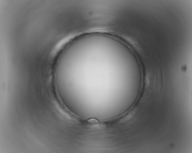 X0000110951406200907022145