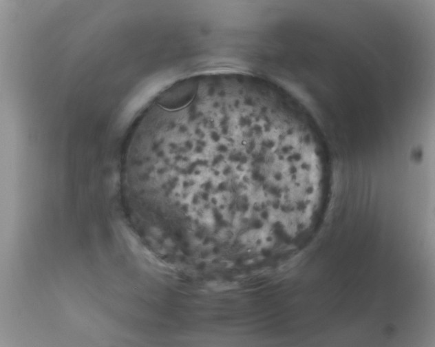 X0000110951407200907022145