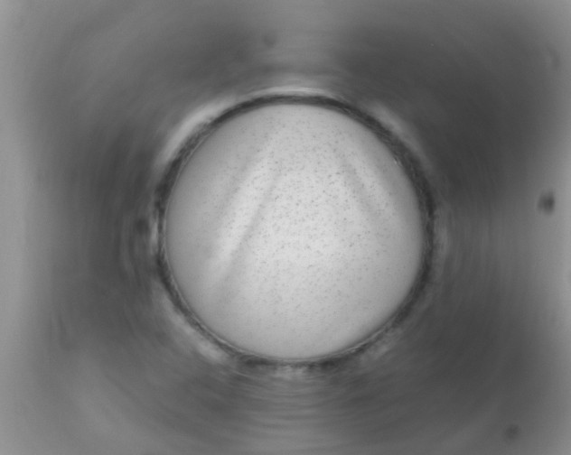 X0000110951408200907022146