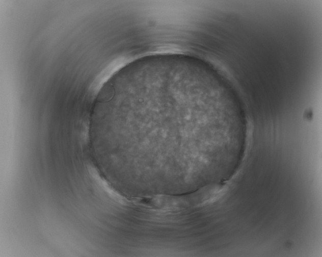 X0000110951409200907022146