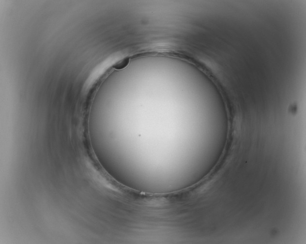 X0000110951410200907022146