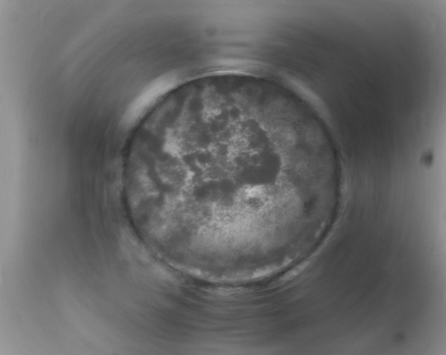 X0000110951411200907022146