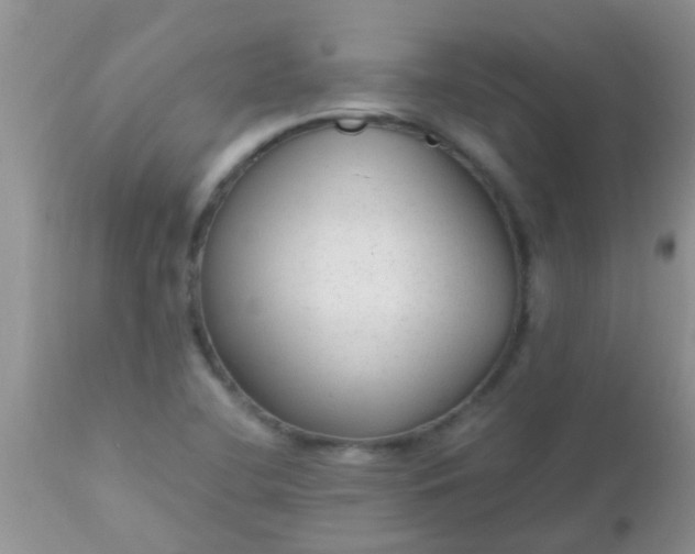 X0000110951412200907022146