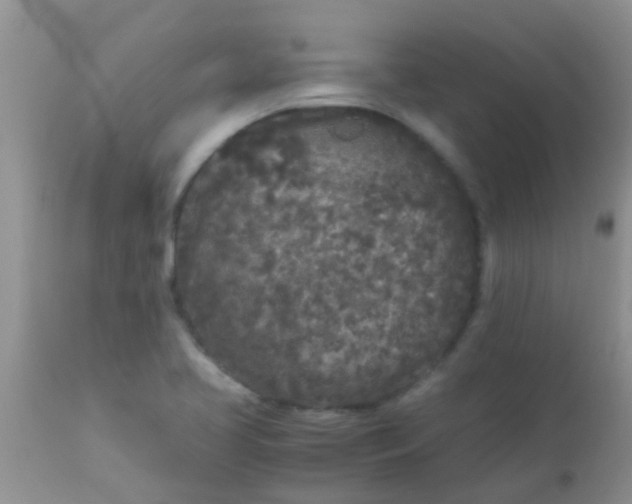 X0000110951413200907022146