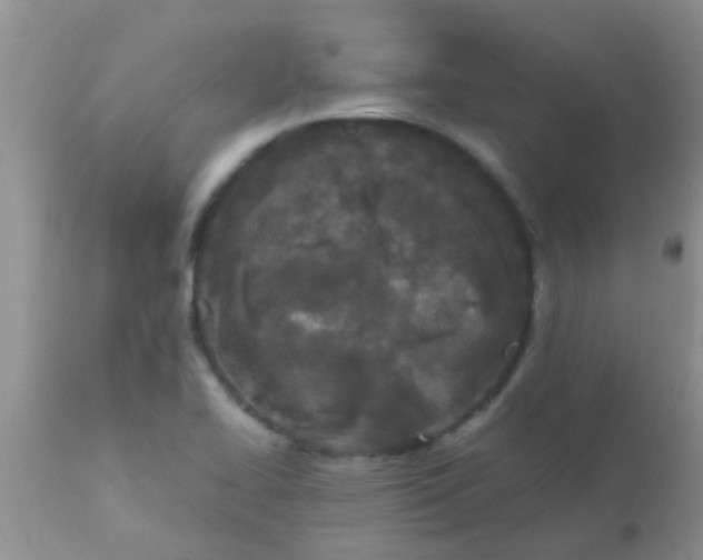 X0000110951414200907022146