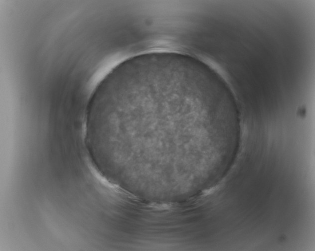 X0000110951415200907022146