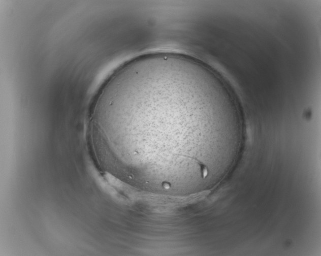 X0000110951416200907022146