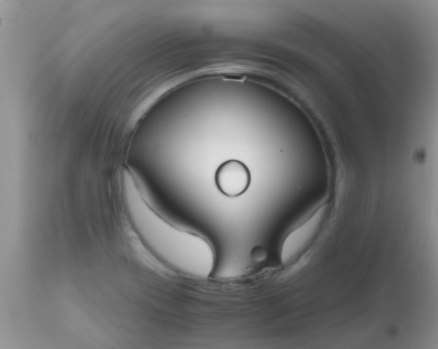 X0000110951417200907022146