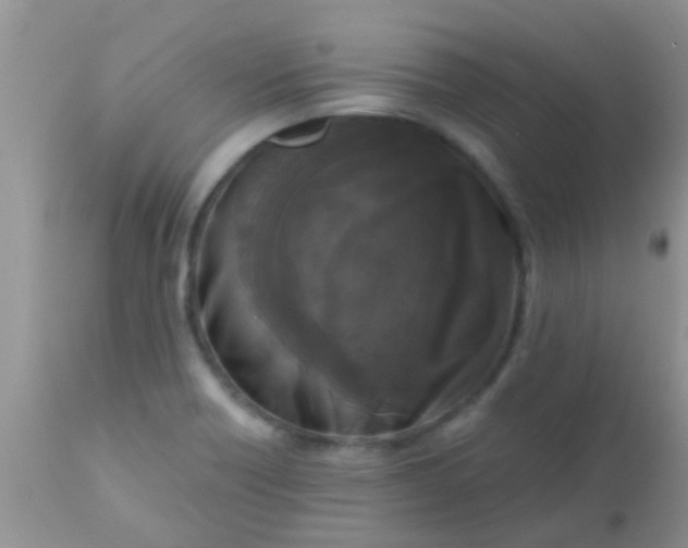 X0000110951418200907022146