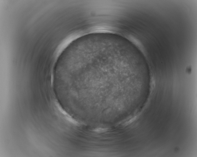 X0000110951419200907022146