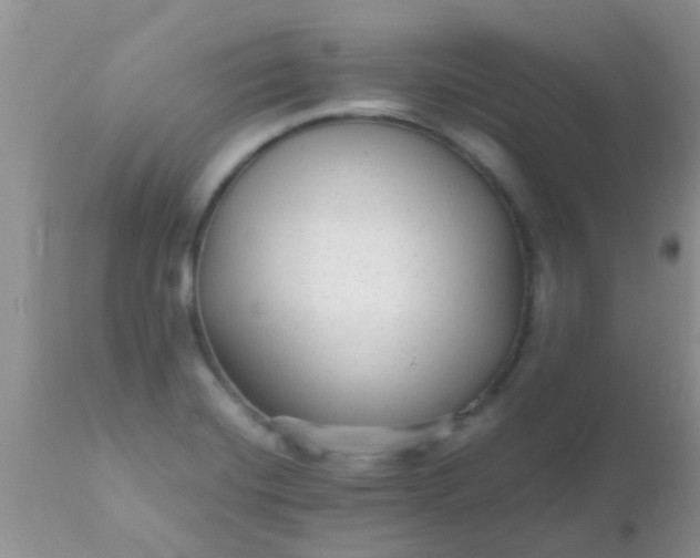 X0000110951420200907022146