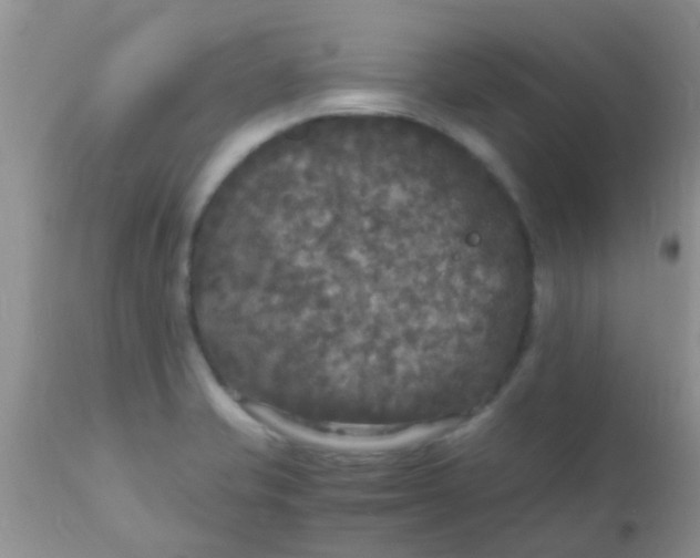 X0000110951421200907022146