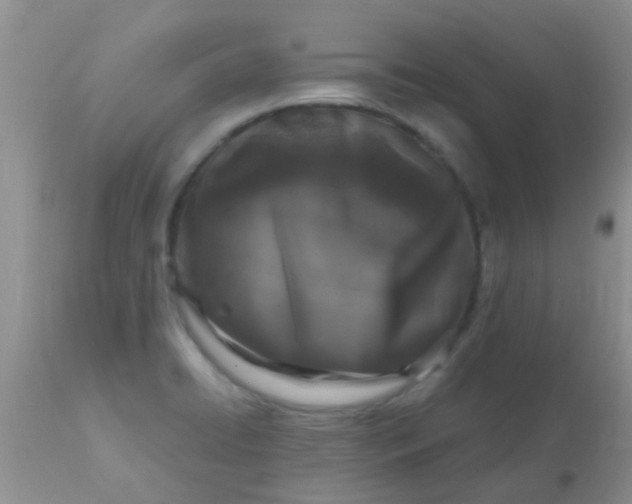 X0000110951422200907022146