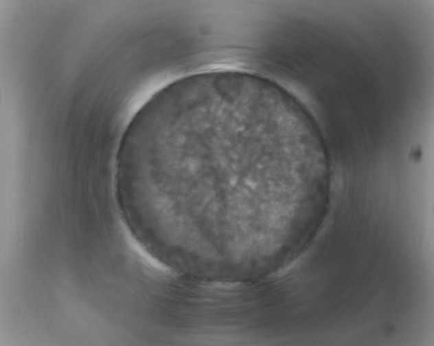 X0000110951423200907022146