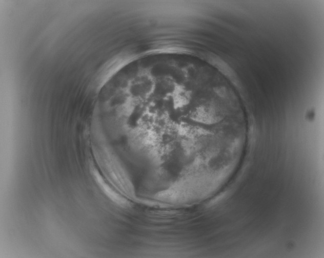 X0000110951425200907022146