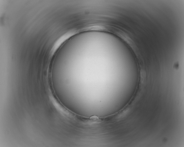 X0000110951426200907022146