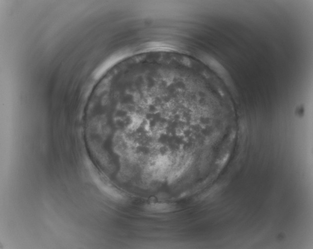 X0000110951427200907022146