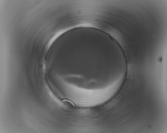 X0000110951428200907022146