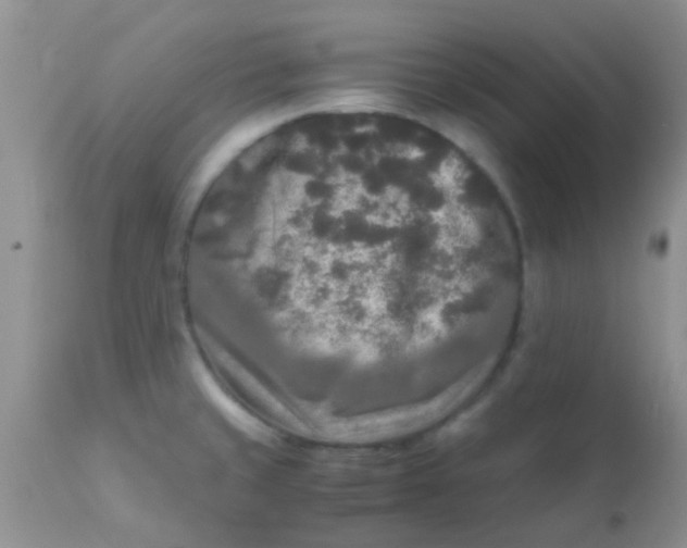 X0000110951429200907022146