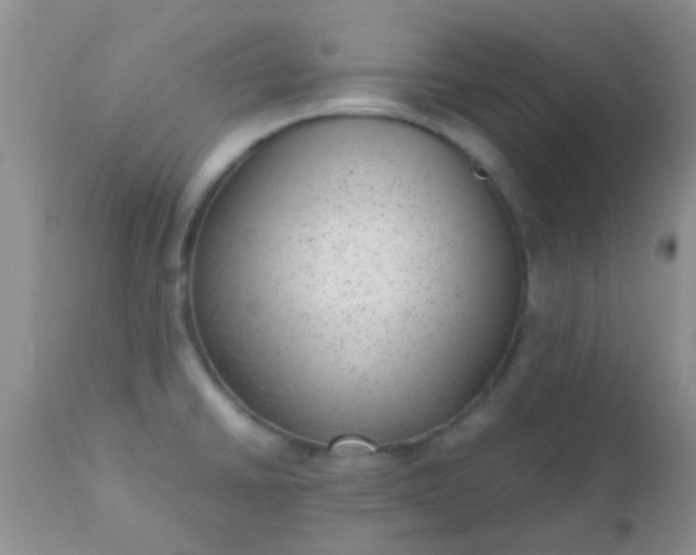 X0000110951430200907022146