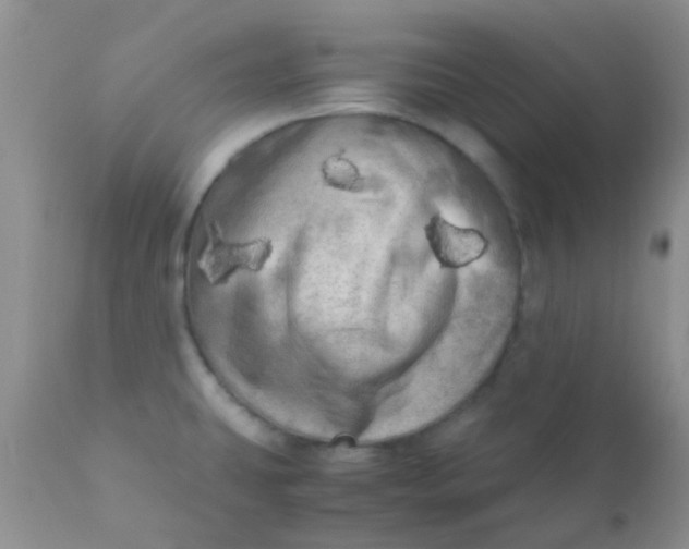 X0000110951431200907022146