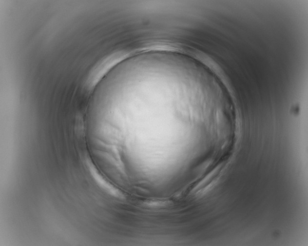 X0000110951433200907022146