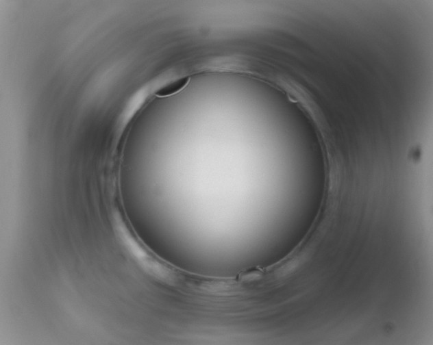 X0000110951434200907022146